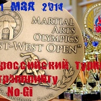 Всероссийский турнир на Олимпиаде боевых искусств